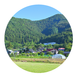 故郷じまい